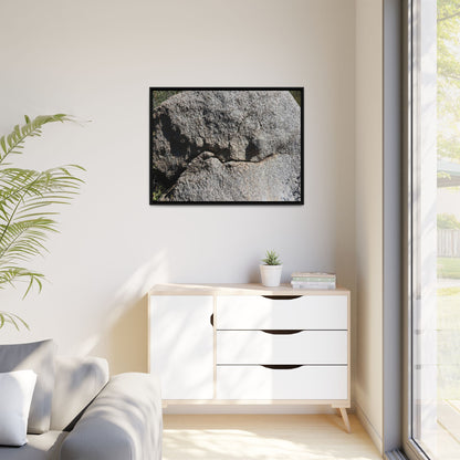 Stone Skull in Desert - Unique Stretched Canvas Wall Art