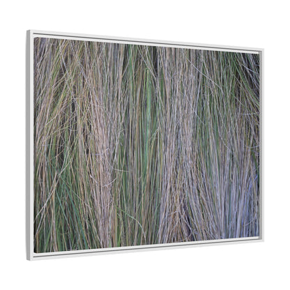Whispers of Silver Grass - Unique Stretched Canvas Wall Art - Art By Earth