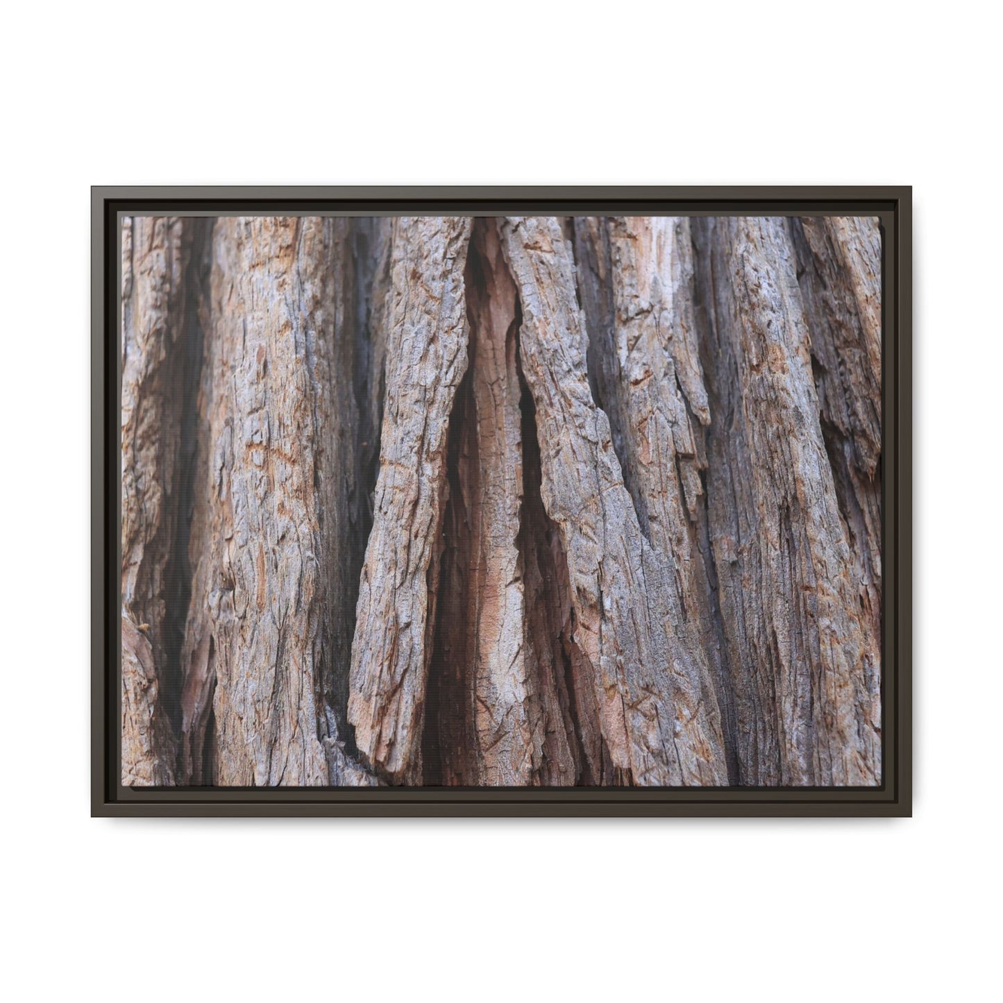 Nature's Sculpture - Unique Stretched Canvas Wall Art - Art By Earth