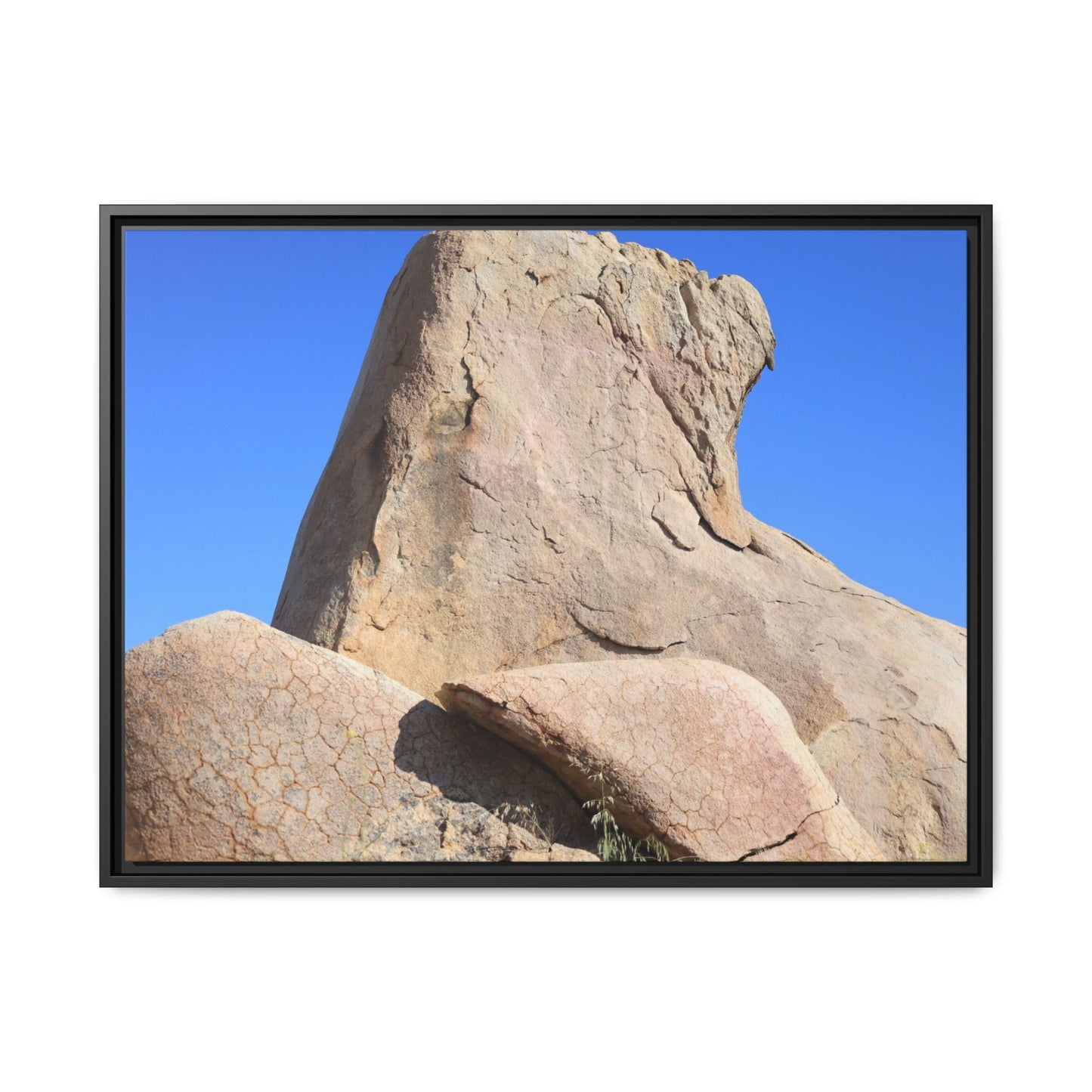 Rocky Sentinel - Unique Stretched Canvas Wall Art - Art By Earth