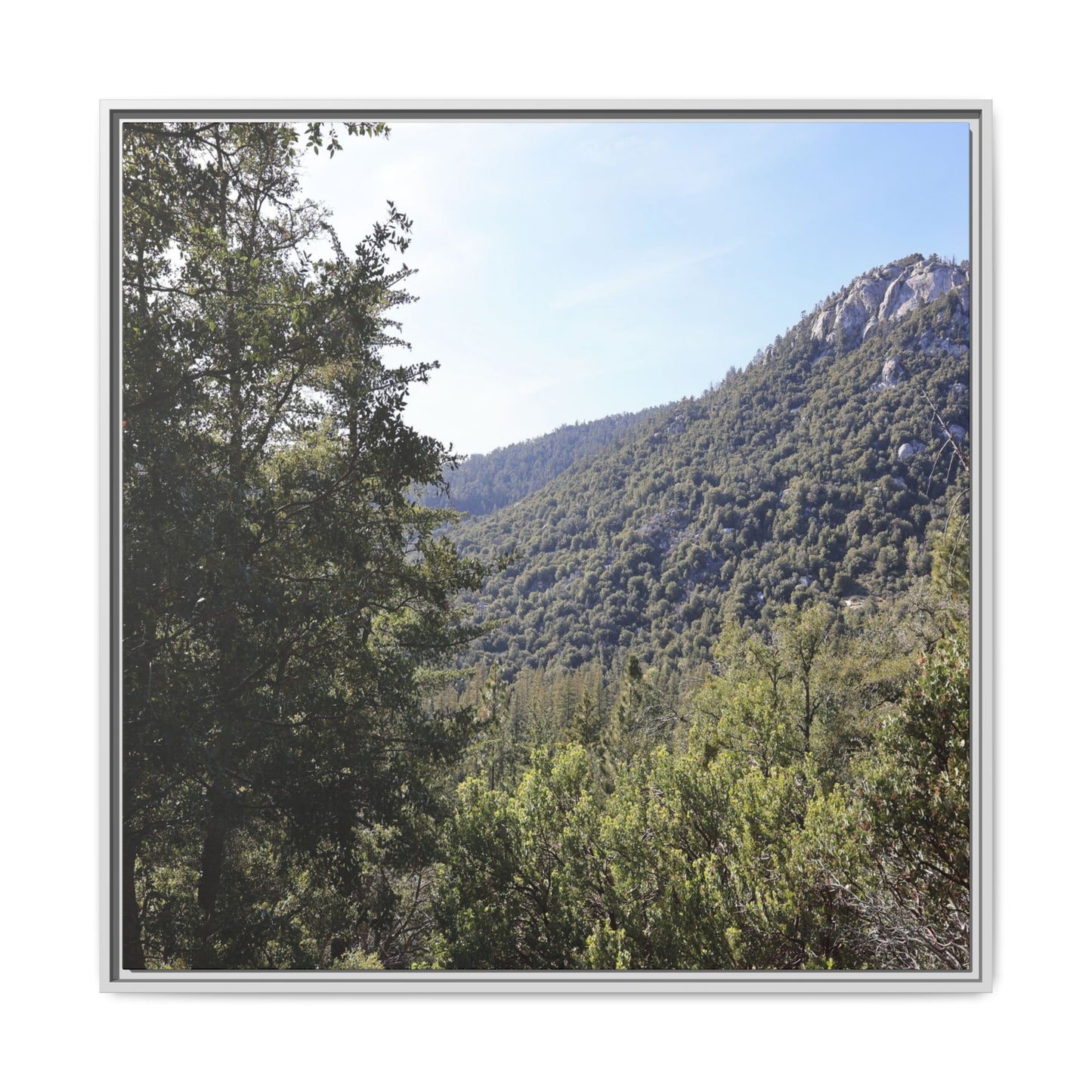Mountain Valley Forest - Unique Stretched Canvas Wall Art