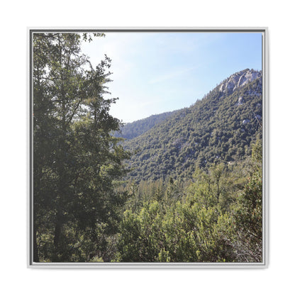 Mountain Valley Forest - Unique Stretched Canvas Wall Art