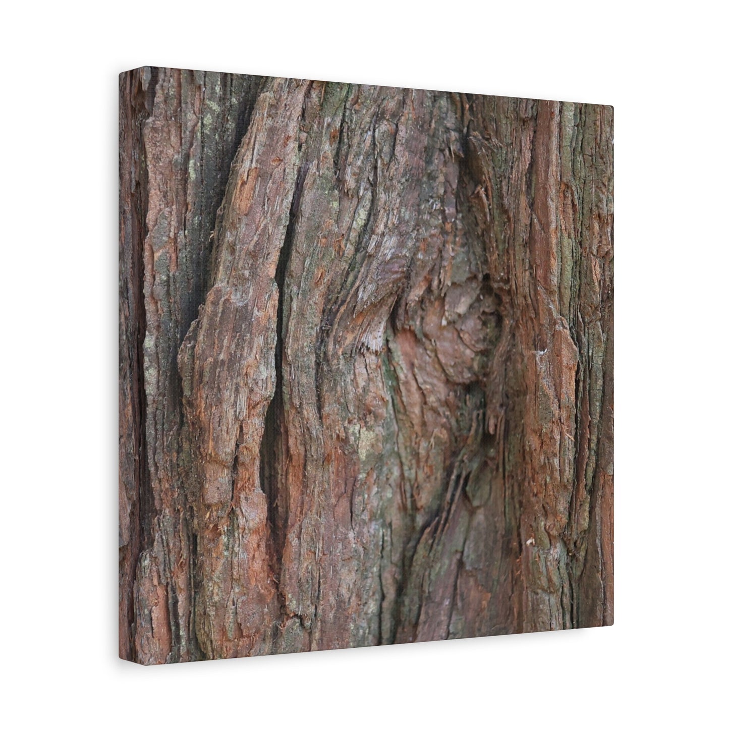 Rustic Embrace - Unique Frameless Canvas Wall Art - Art By Earth