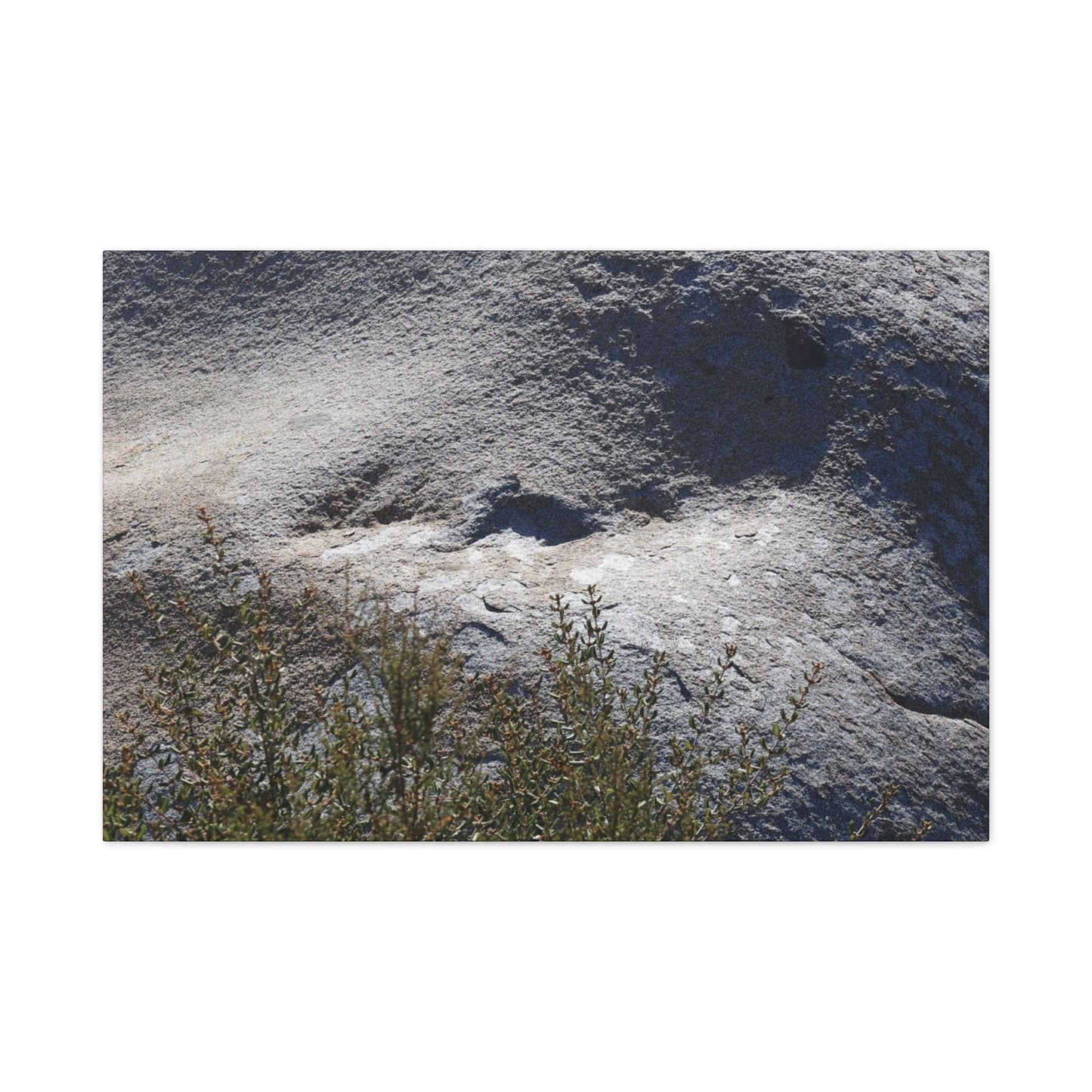 Stone Face in Nature - Unique Frameless Canvas Wall Art