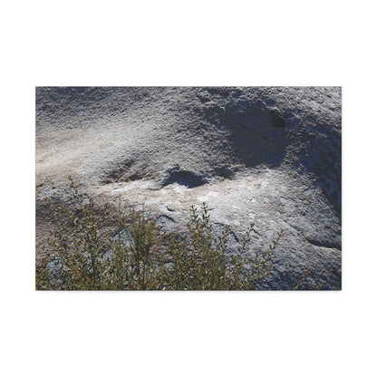 Stone Face in Nature - Unique Frameless Canvas Wall Art