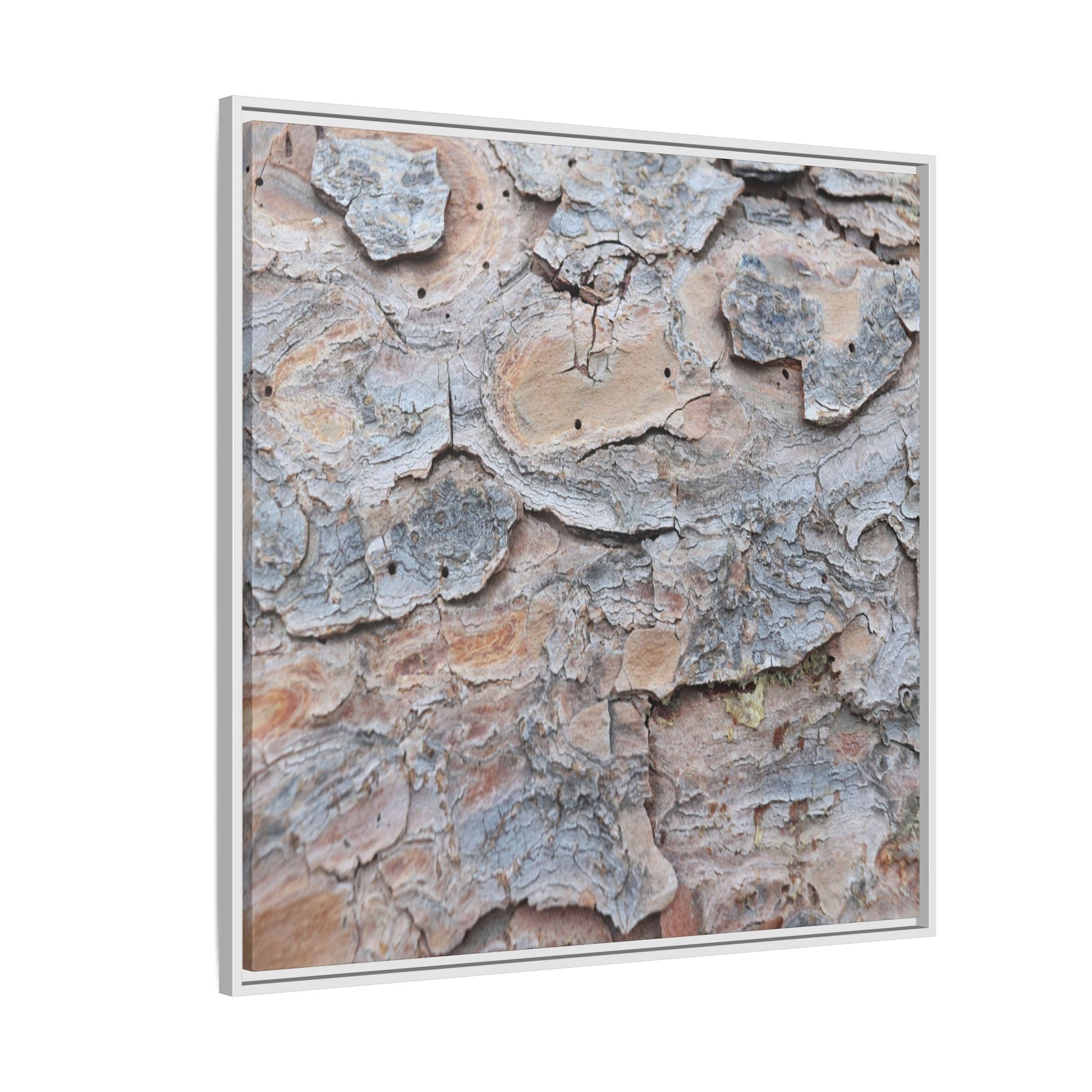 Peeling Memories - Unique Stretched Canvas Wall Art - Art By Earth