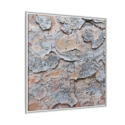 Peeling Memories - Unique Stretched Canvas Wall Art - Art By Earth