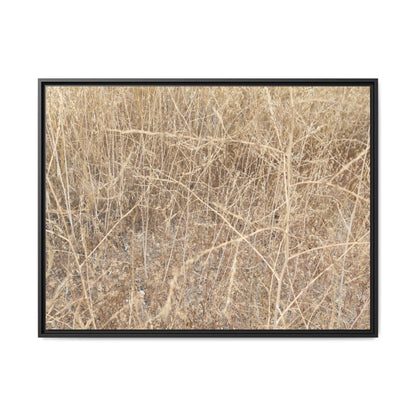 Golden Stalks - Unique Stretched Canvas Wall Art - Art By Earth