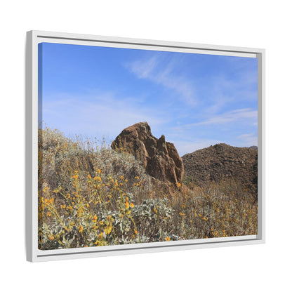 Golden Flowers in Arid Landscape - Unique Stretched Canvas Wall Art - Art By Earth