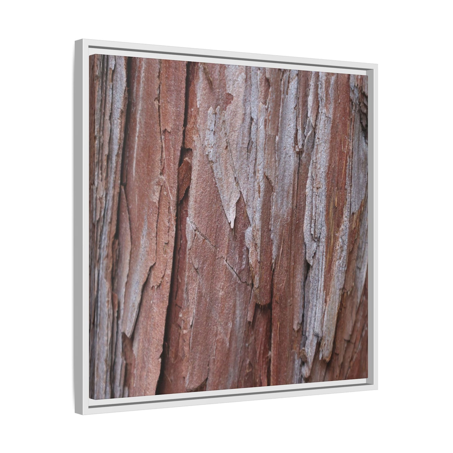Time and Decay - Unique Stretched Canvas Wall Art - Art By Earth