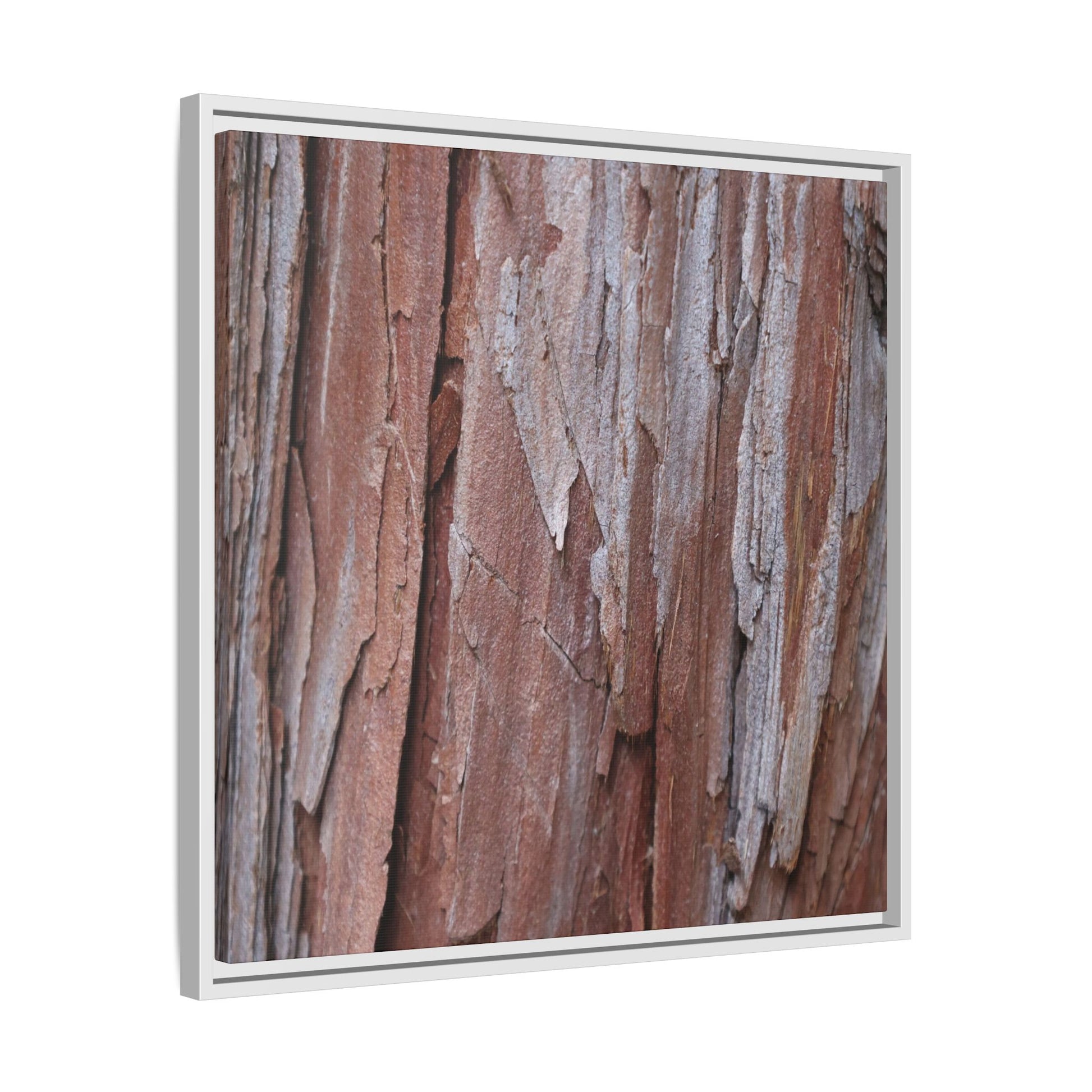 Time and Decay - Unique Stretched Canvas Wall Art - Art By Earth