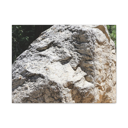 Stone of Solitude - Unique Frameless Canvas Wall Art - Art By Earth