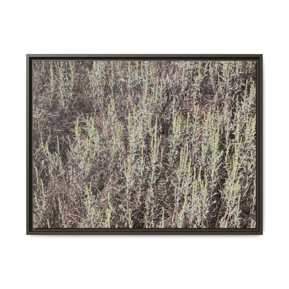 Sage Fields Forever - Unique Stretched Canvas Wall Art - Art By Earth