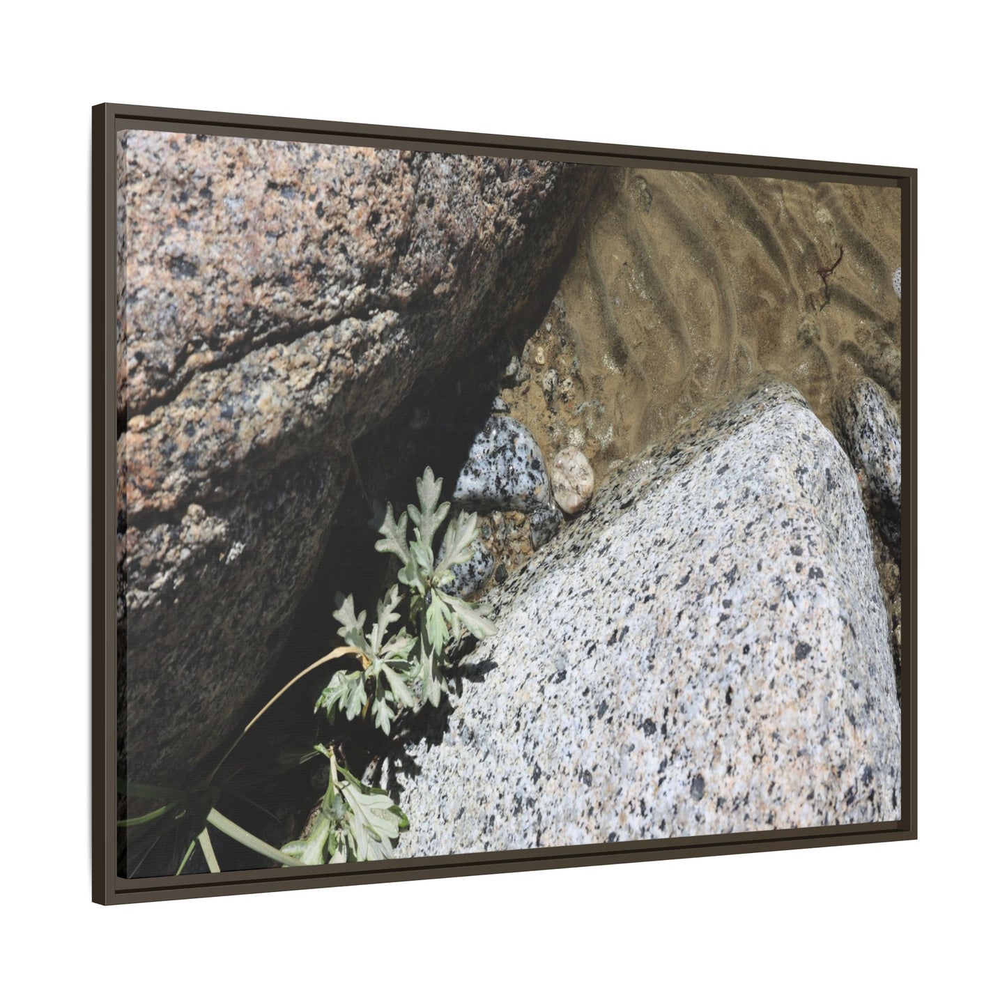 Resilience in Stone - Unique Stretched Canvas Wall Art - Art By Earth