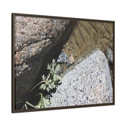 Resilience in Stone - Unique Stretched Canvas Wall Art - Art By Earth