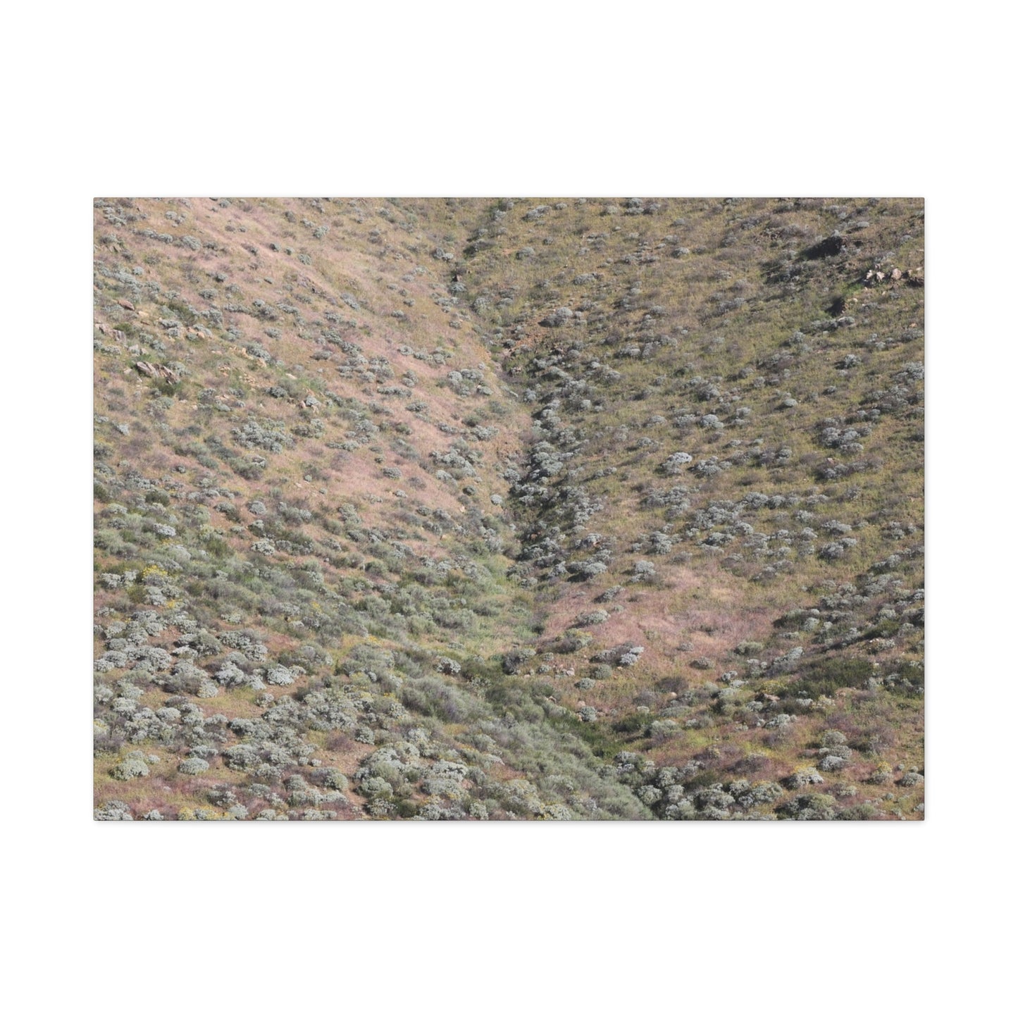 Desert Hillside - Unique Frameless Canvas Wall Art - Art By Earth
