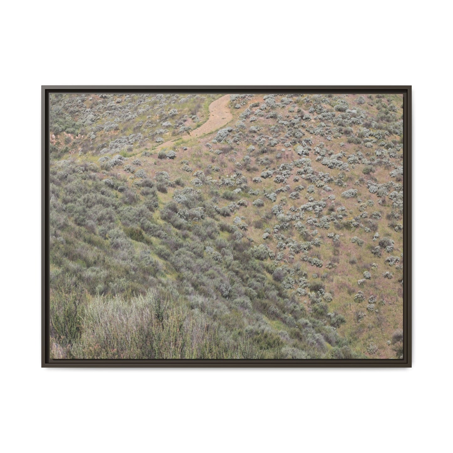 Arid Landscape with Winding Path - Unique Stretched Canvas Wall Art - Art By Earth