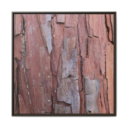 Peeling Bark - Unique Stretched Canvas Wall Art - Art By Earth