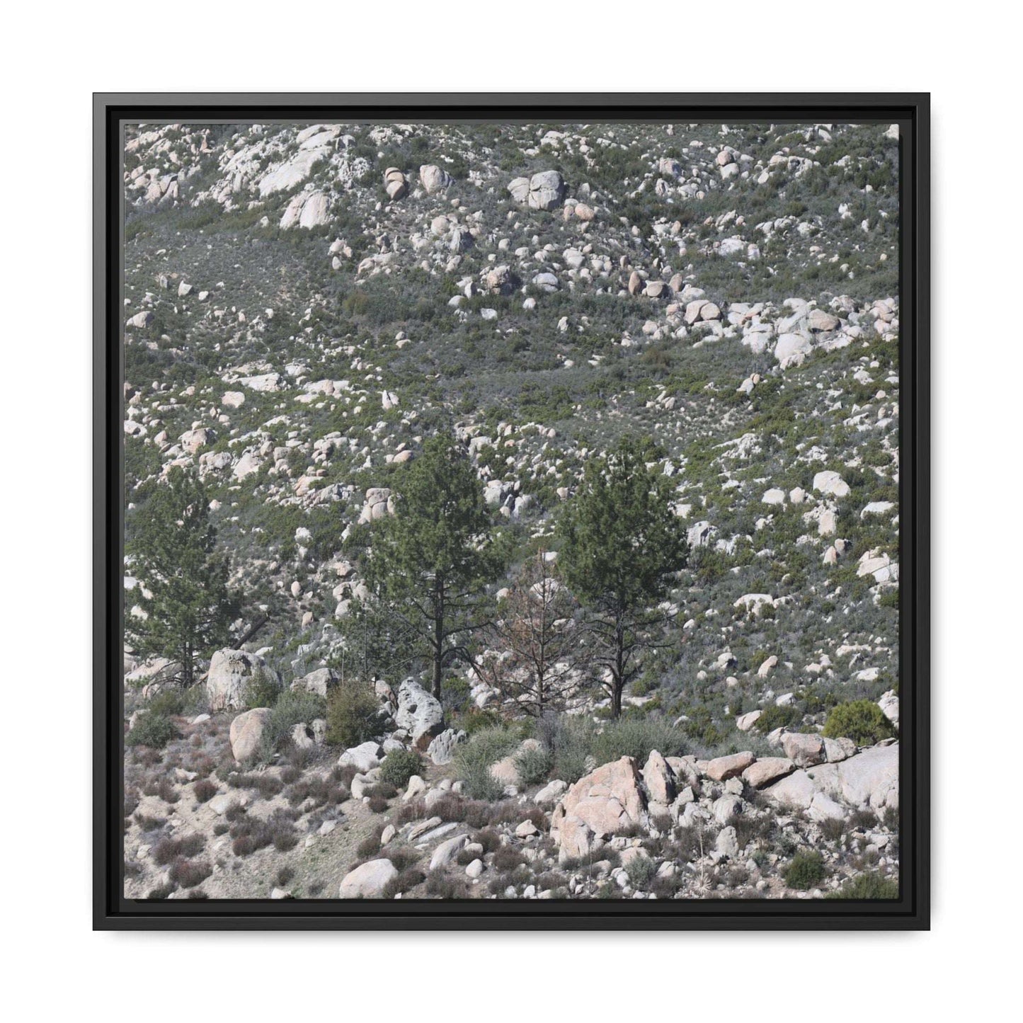 Rocky Hillside with Pine Trees - Unique Stretched Canvas Wall Art - Art By Earth