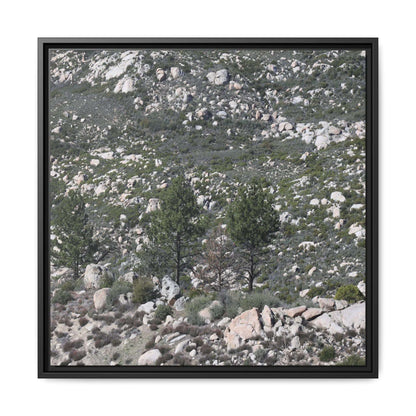 Rocky Hillside with Pine Trees - Unique Stretched Canvas Wall Art - Art By Earth