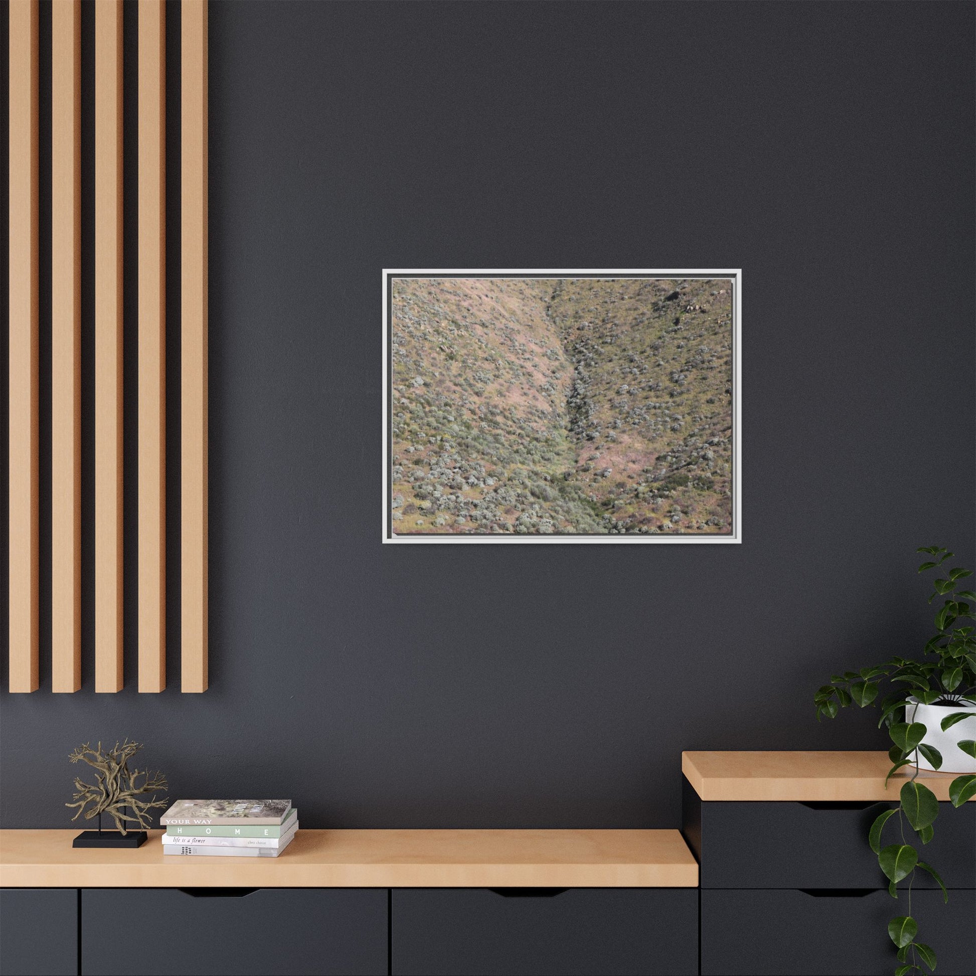 Mountain Slope with Desert Vegetation - Unique Stretched Canvas Wall Art - Art By Earth