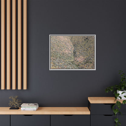 Mountain Slope with Desert Vegetation - Unique Stretched Canvas Wall Art - Art By Earth