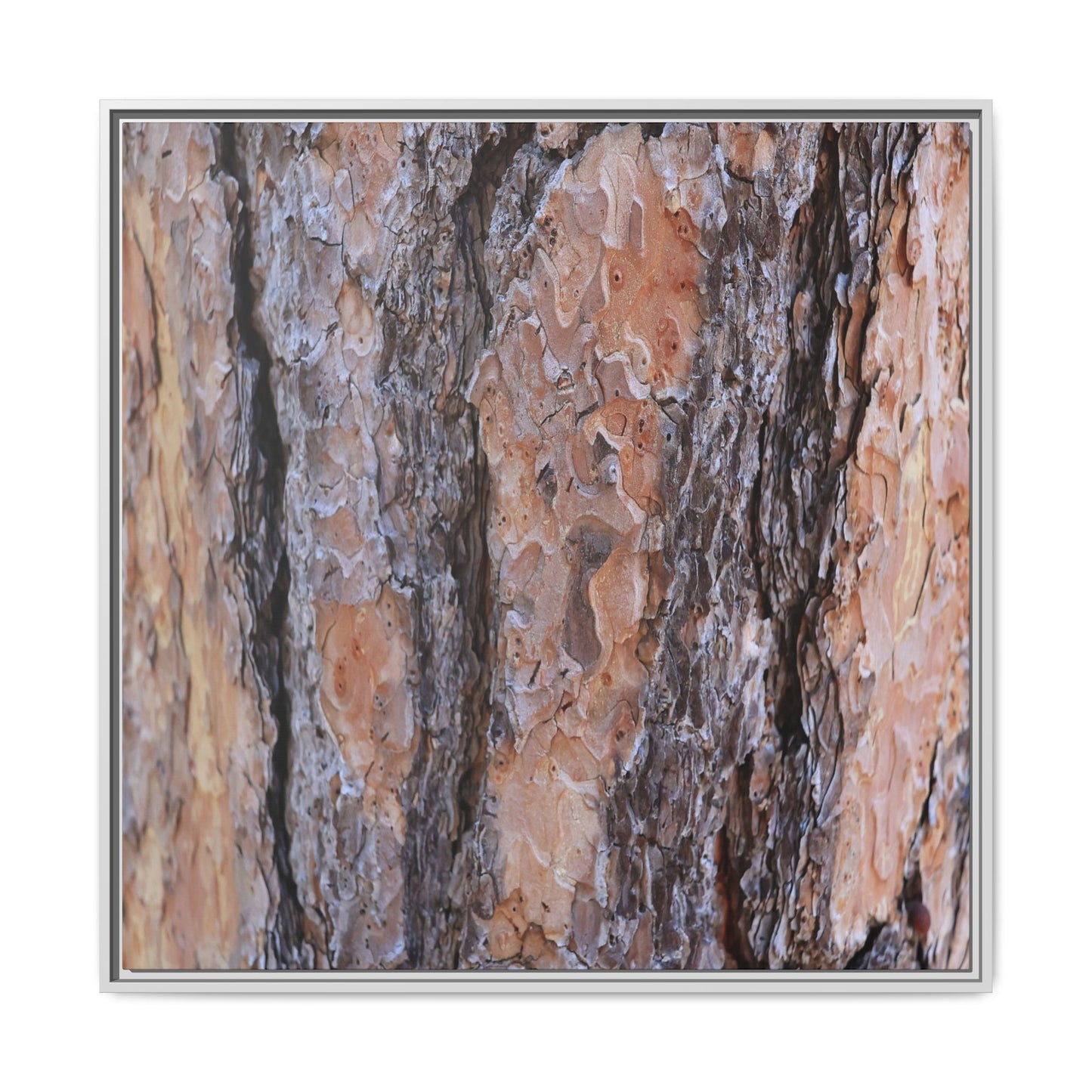 Earthy Embrace - Unique Stretched Canvas Wall Art - Art By Earth