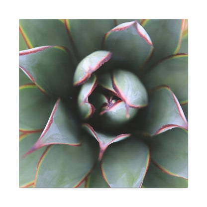 Emerald Spiral - Unique Frameless Canvas Wall Art - Art By Earth