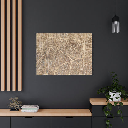 Dry Echoes - Unique Frameless Canvas Wall Art - Art By Earth