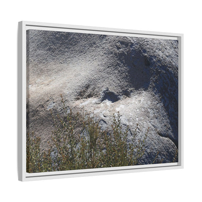 Weathered Boulder with Character - Unique Stretched Canvas Wall Art