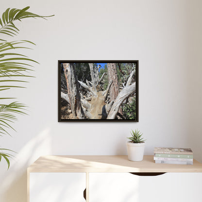 Forest Sentinels - Unique Stretched Canvas Wall Art