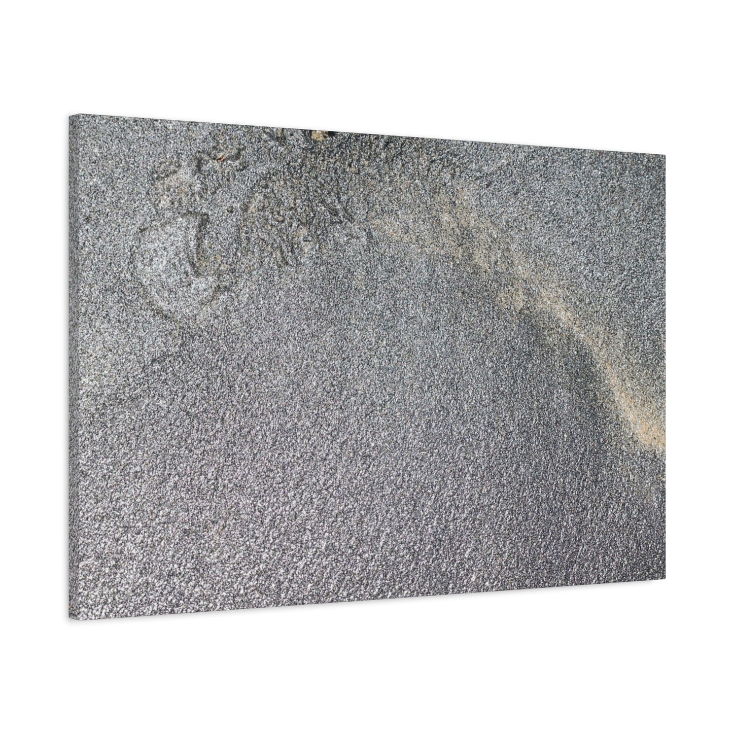 Ephemeral Whispers of Granite - Unique Frameless Canvas Wall Art - Art By Earth