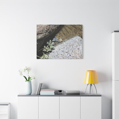 Between Stone and Sand - Unique Frameless Canvas Wall Art - Art By Earth