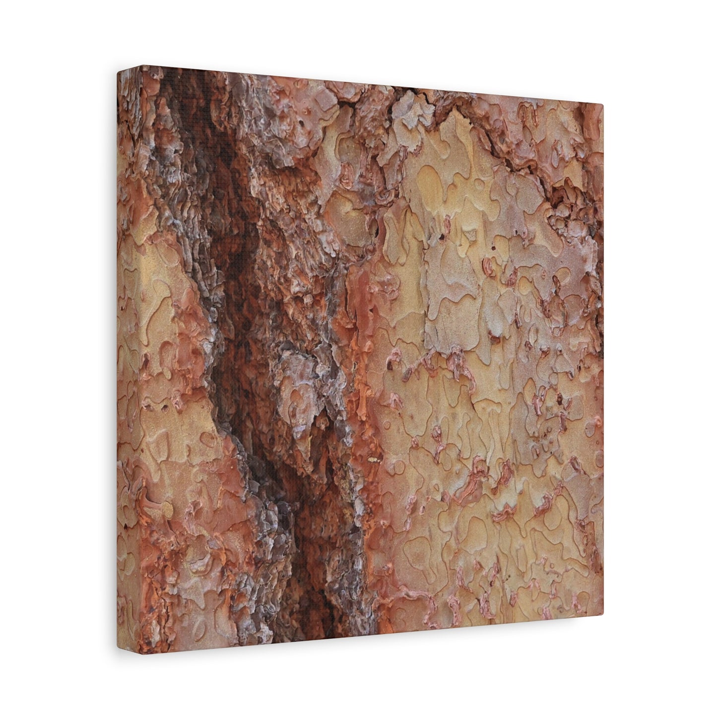 Arboreal Secrets - Unique Frameless Canvas Wall Art - Art By Earth