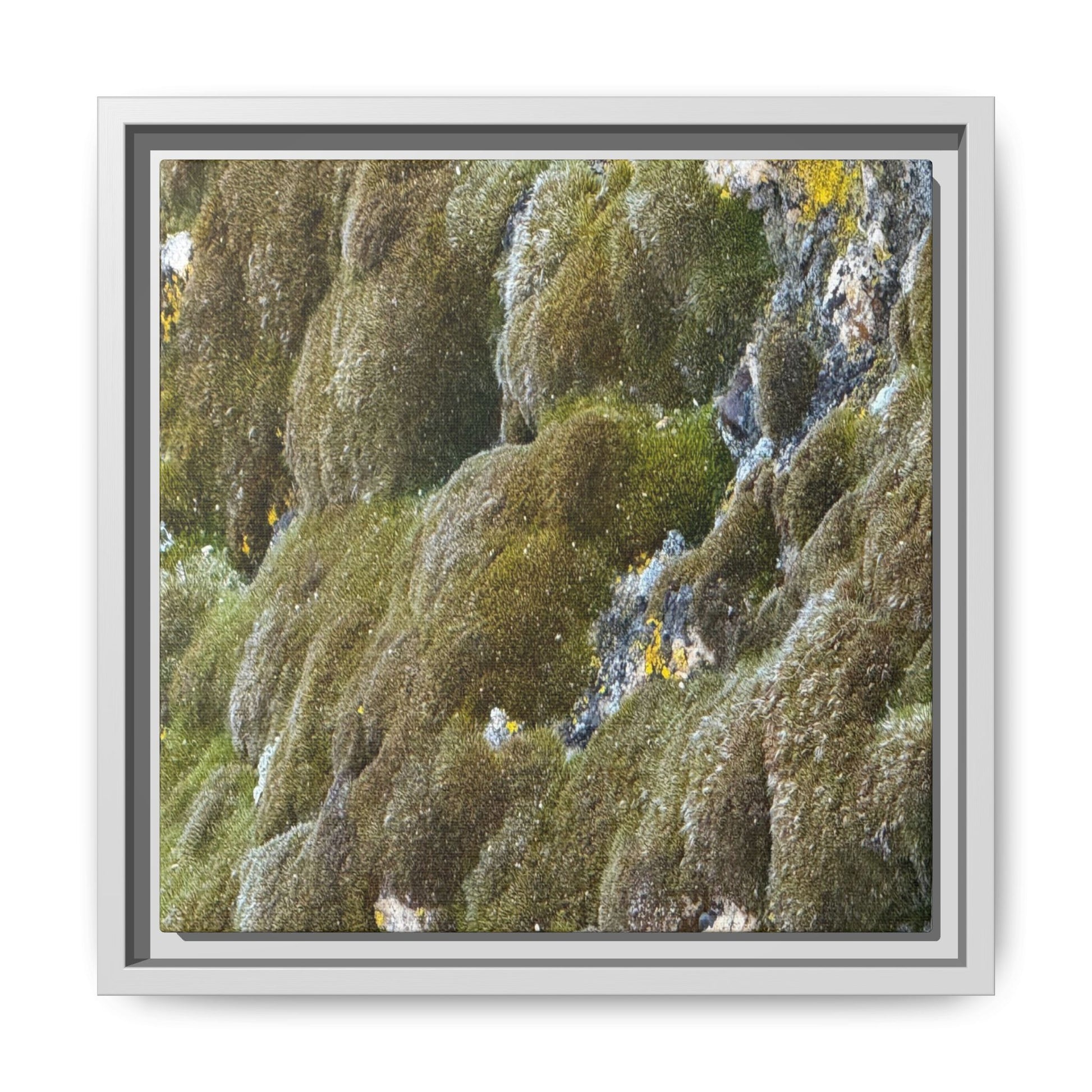 Moss Symphony - Unique Stretched Canvas Wall Art - Art By Earth
