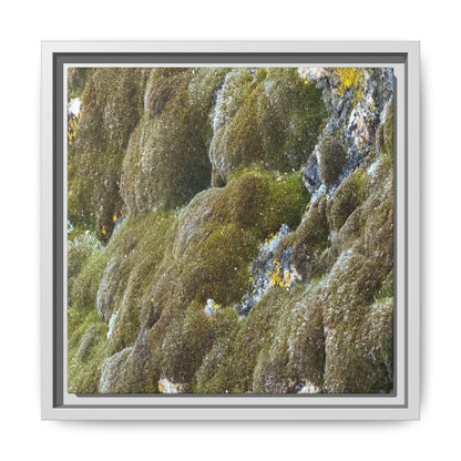 Moss Symphony - Unique Stretched Canvas Wall Art