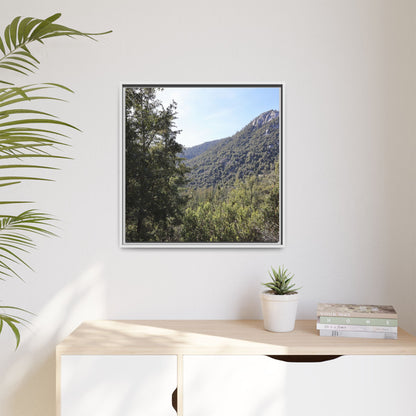 Mountain Valley Forest - Unique Stretched Canvas Wall Art