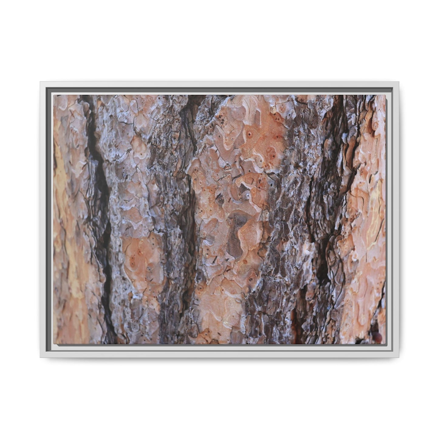 Earthy Embrace - Unique Stretched Canvas Wall Art - Art By Earth