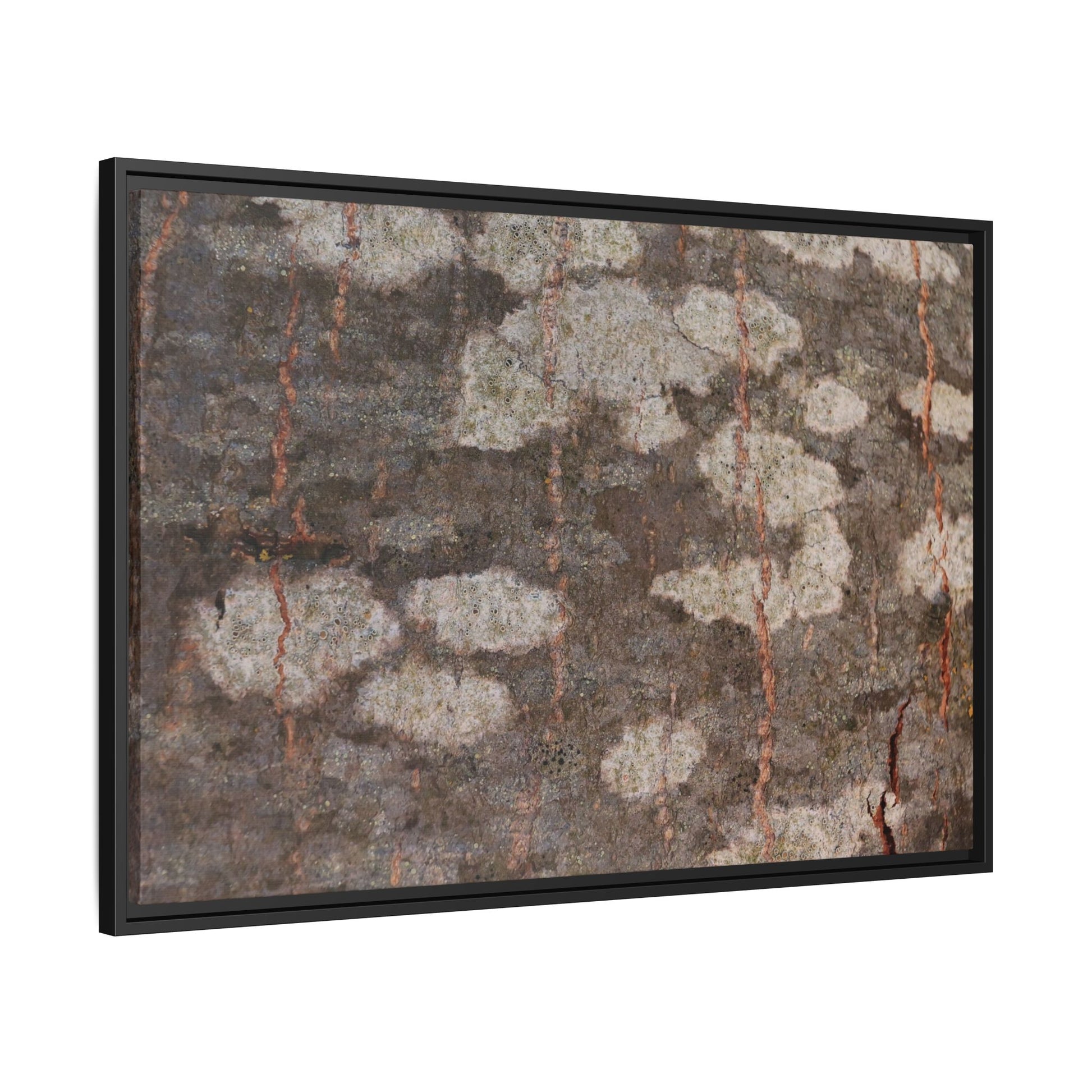 Lichen's Legacy - Unique Stretched Canvas Wall Art - Art By Earth