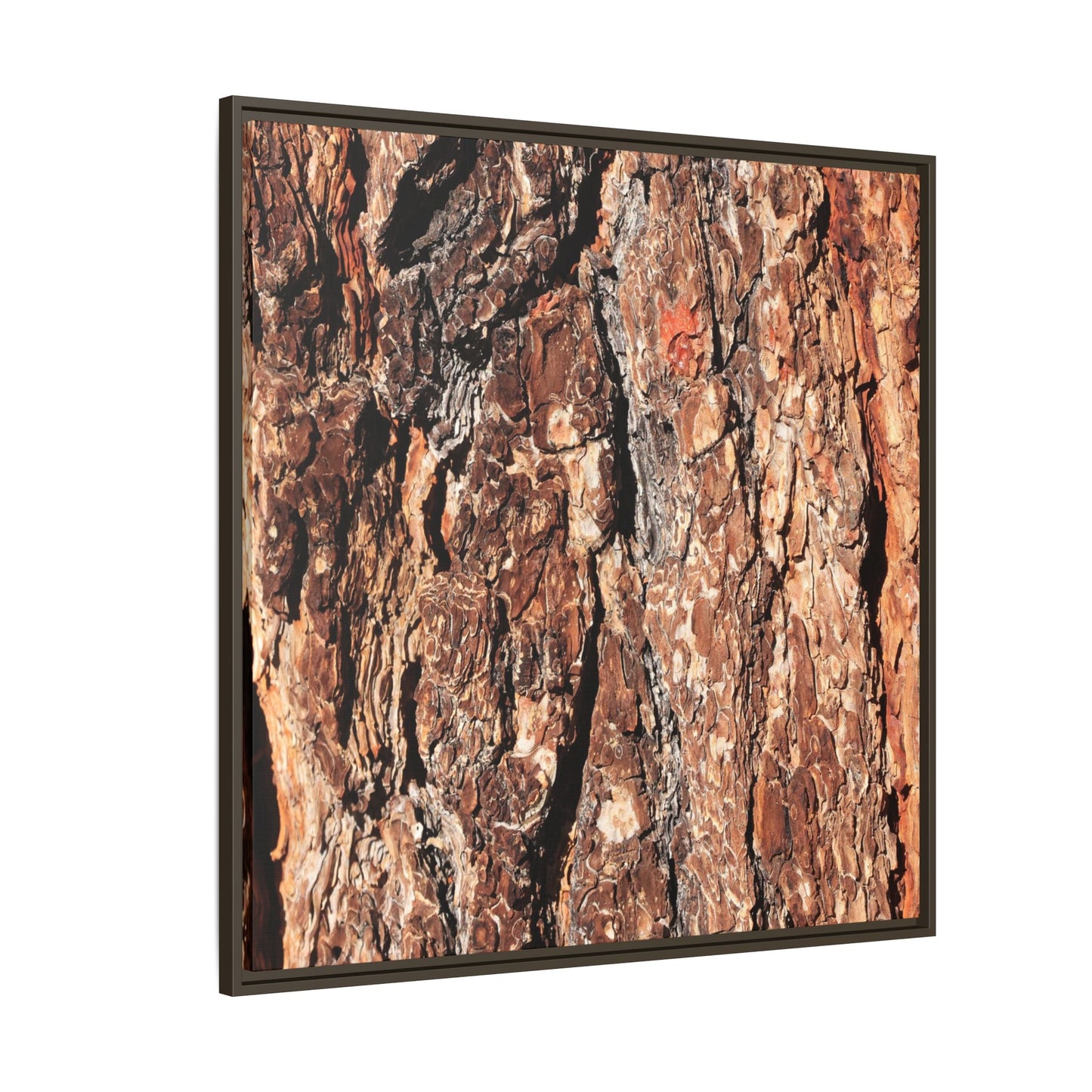 Nature's Rugged Canvas - Unique Stretched Canvas Wall Art