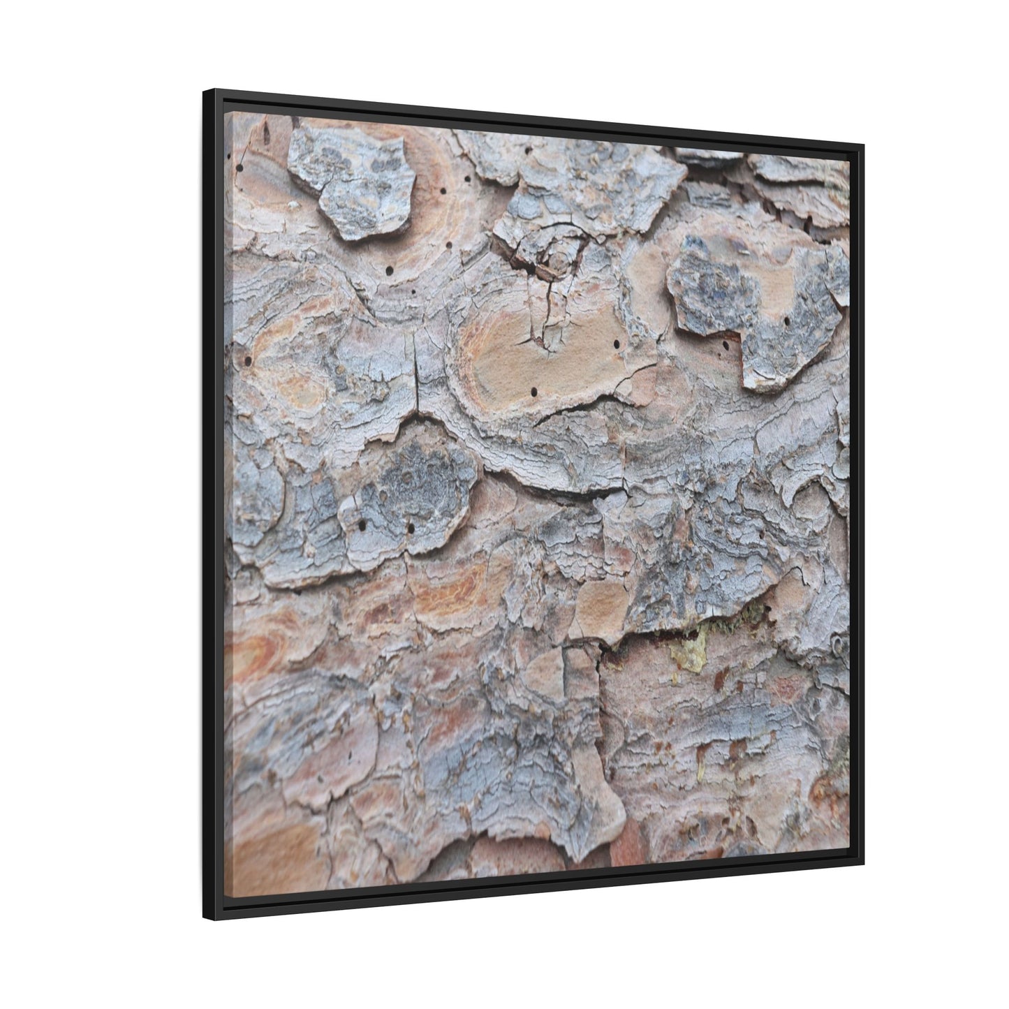 Peeling Memories - Unique Stretched Canvas Wall Art - Art By Earth