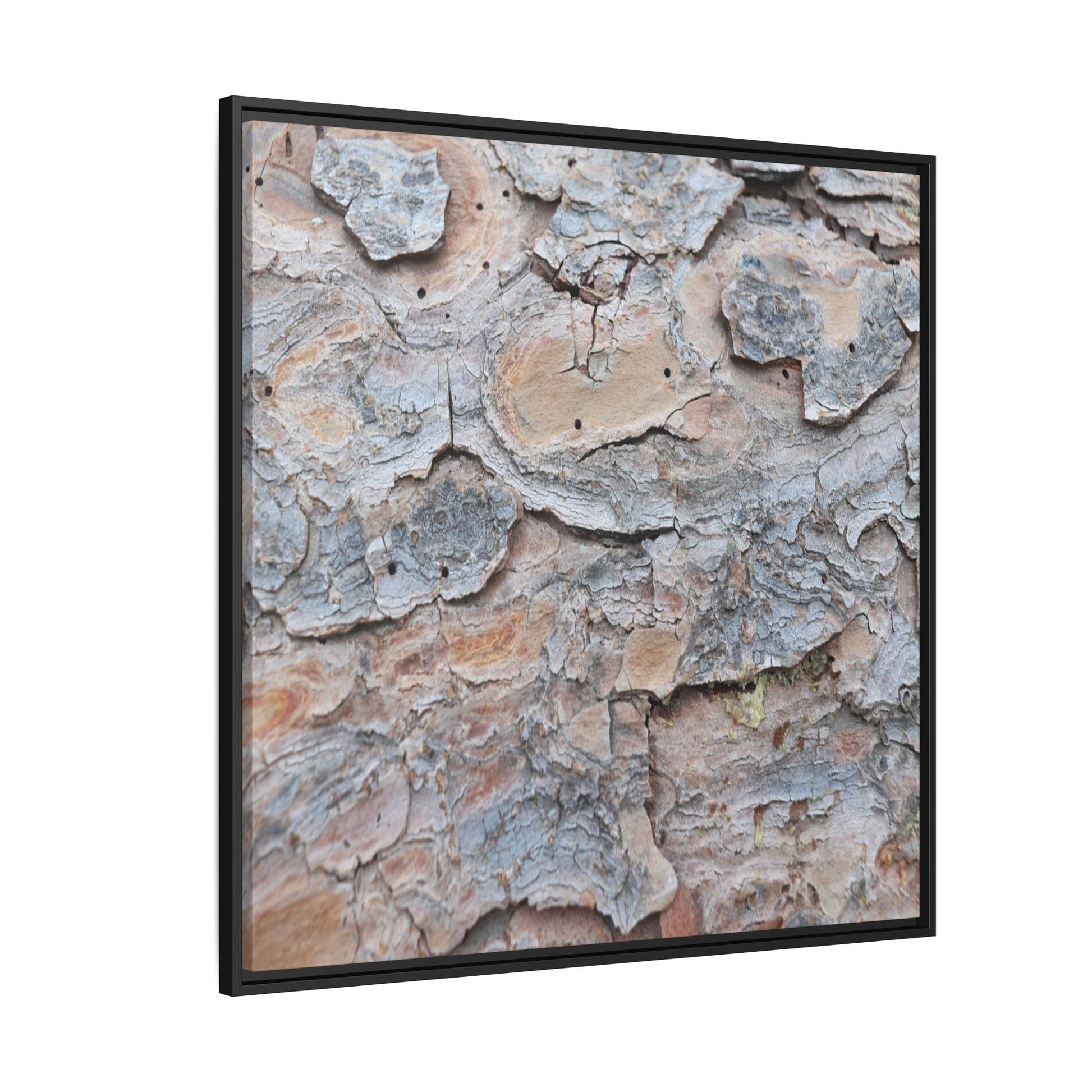 Peeling Memories - Unique Stretched Canvas Wall Art - Art By Earth