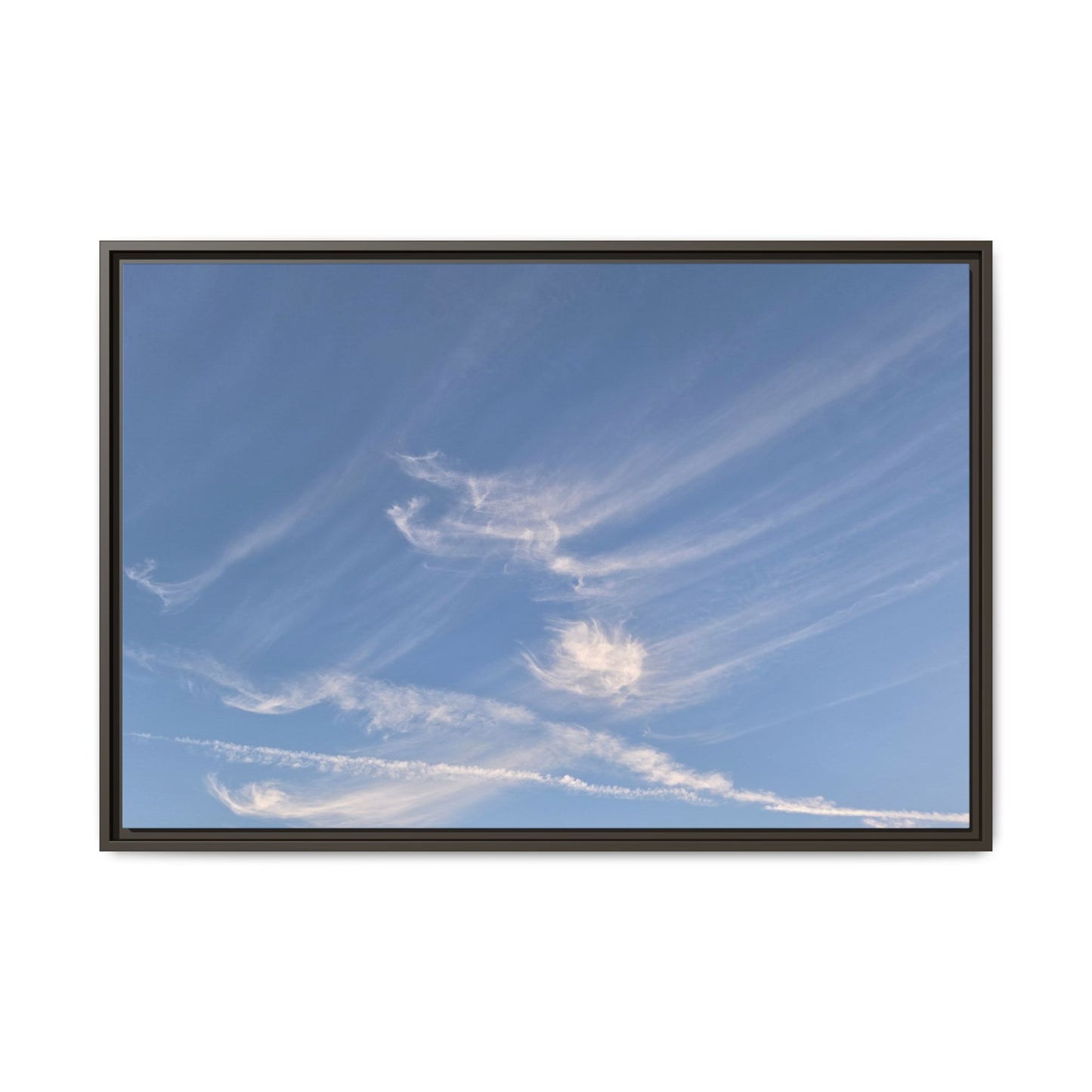 Wispy Dreams - Unique Stretched Canvas Wall Art - Art By Earth