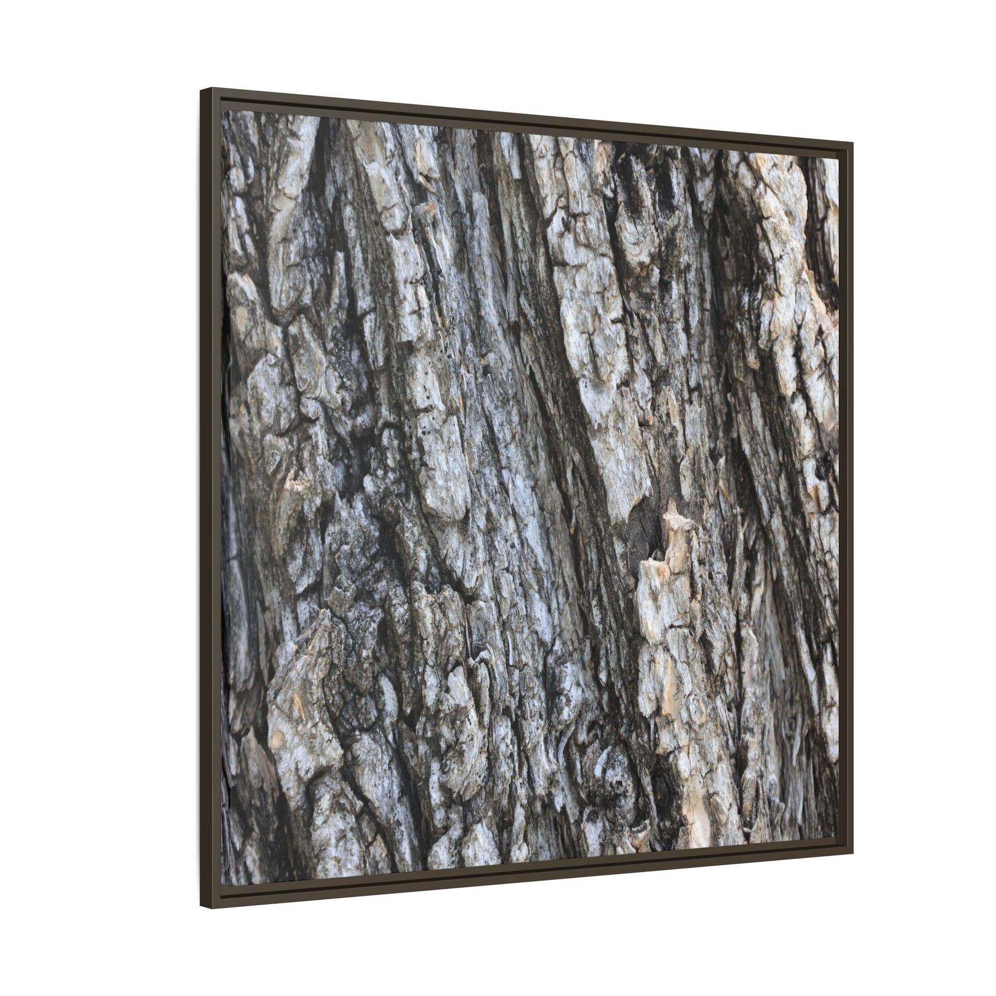 Twisted Textures - Unique Stretched Canvas Wall Art - Art By Earth