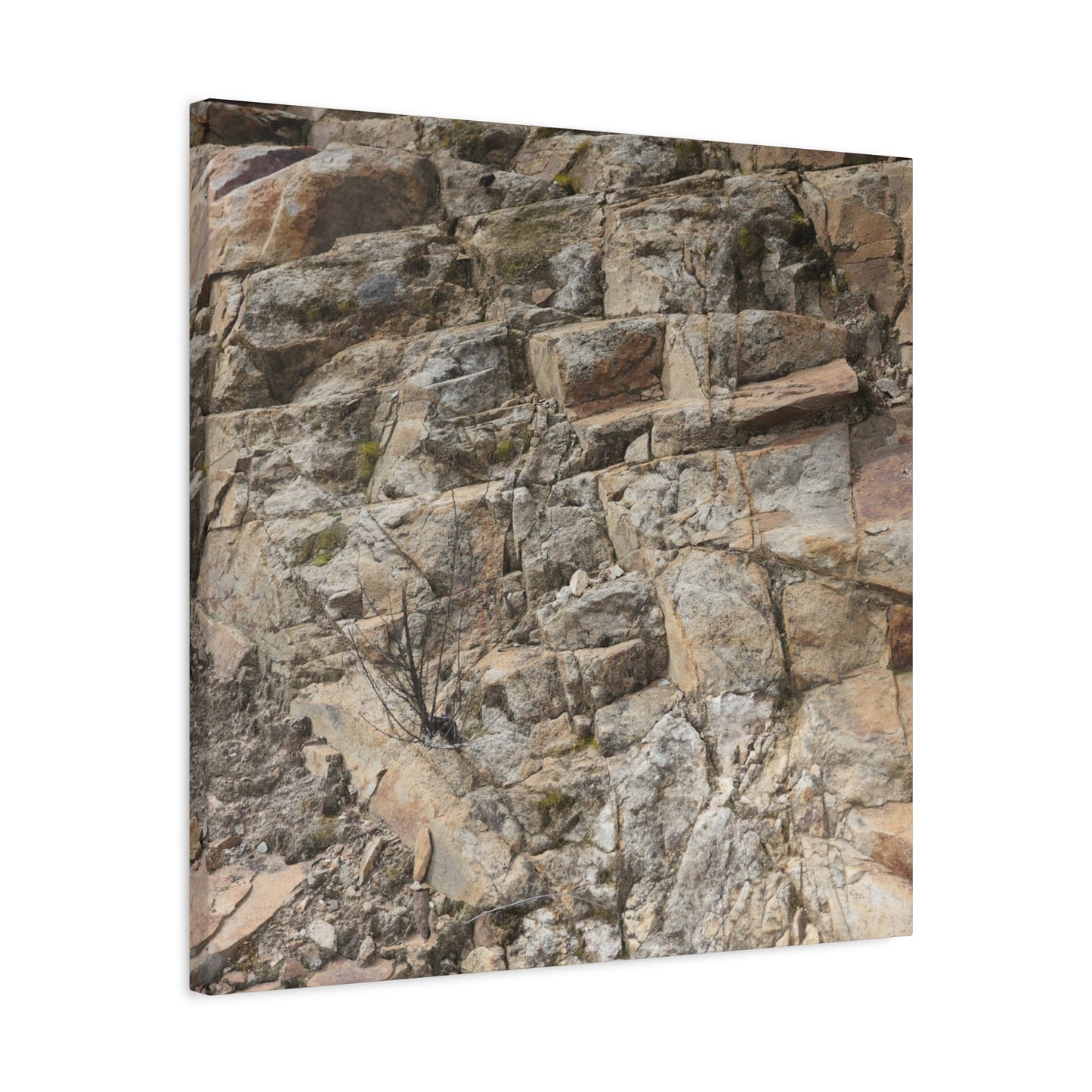 Broken Rock Canvas - Unique Frameless Canvas Wall Art - Art By Earth