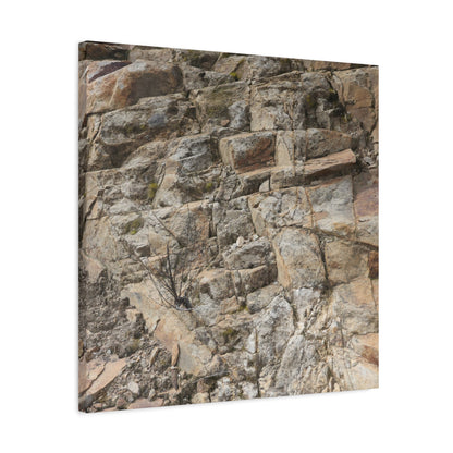 Broken Rock Canvas - Unique Frameless Canvas Wall Art - Art By Earth