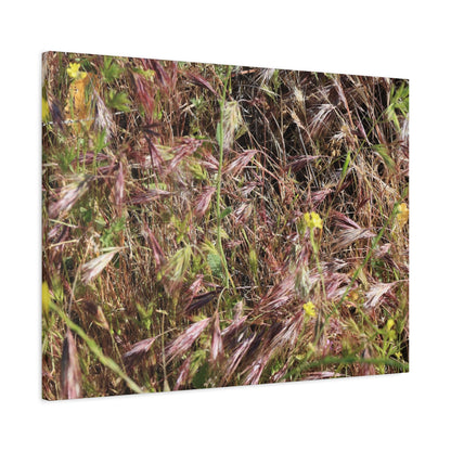 Autumn Wildflower Meadow in Transition - Unique Frameless Canvas Wall Art - Art By Earth