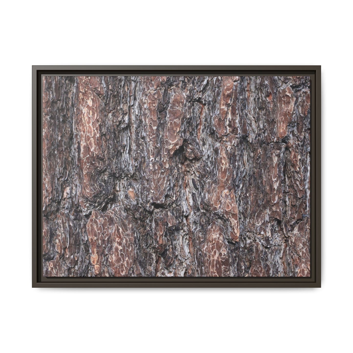 Echoes of Wood - Unique Stretched Canvas Wall Art