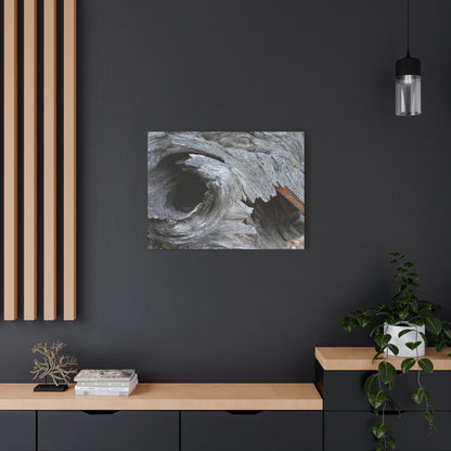 Twisted Whispers of the Forest Floor - Unique Frameless Canvas Wall Art - Art By Earth