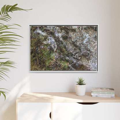 Mossy Whispers - Unique Stretched Canvas Wall Art - Art By Earth